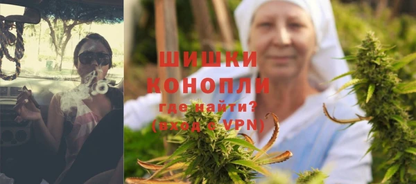 твердый Краснослободск