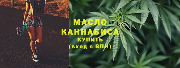 молекула духа Коряжма