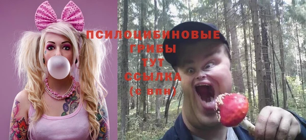 твердый Краснослободск