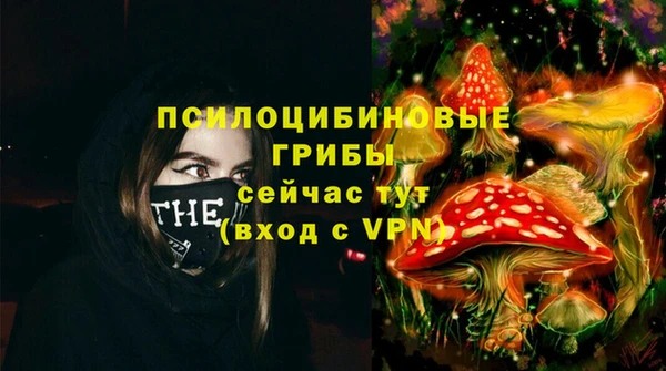 молекула духа Коряжма