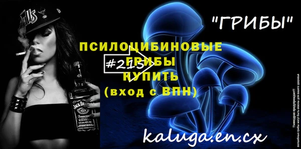 ГАЛЛЮЦИНОГЕННЫЕ ГРИБЫ Яровое